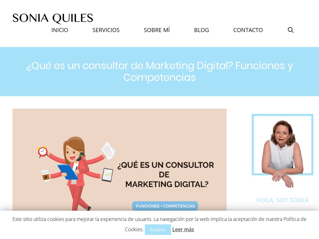 Consultor de Marketing Digital: 6 Funciones y Competencias