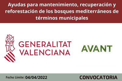 Subvenciones destinadas a apoyar en los municipios de la agenda AVANT