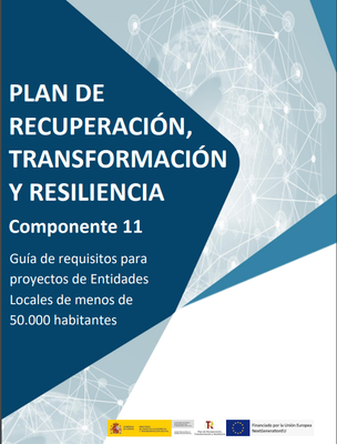 Gu�a de requisitos para proyectos de Entidades Locales
