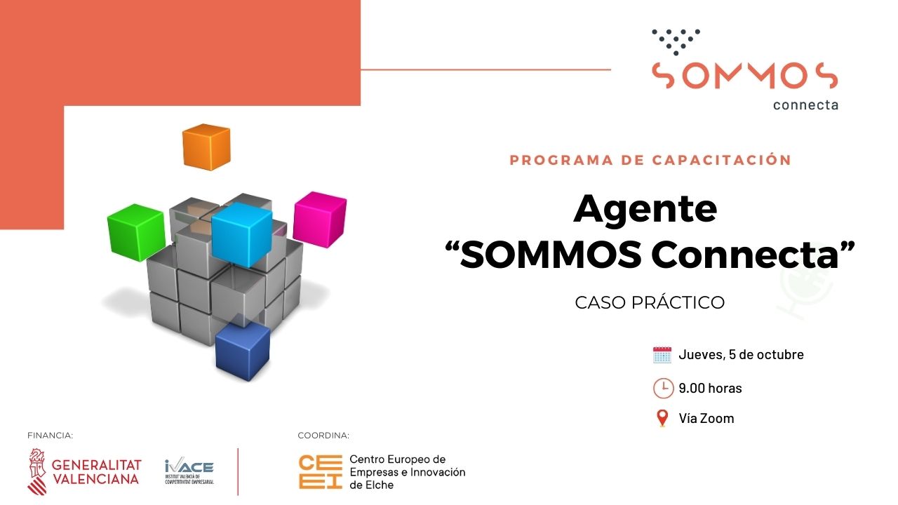 Programa "Agentes SOMMOS Connecta" - Sesión práctica
