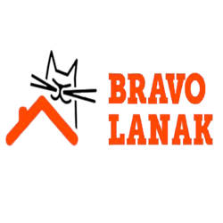 Bravo Lanak. Reparacin de tejados y fontanera Bilbao