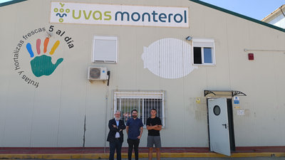 Uvas Monterol y CEEI Elche comienzan a innovar colaborativamente gracias al programa CV Innova