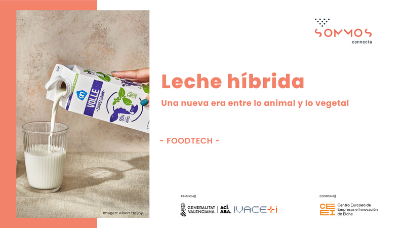 Leche híbrida, una nueva era entre lo animal y lo vegetal