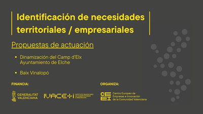 Dinamización del Camp d’Elx - Propuesta de actuación