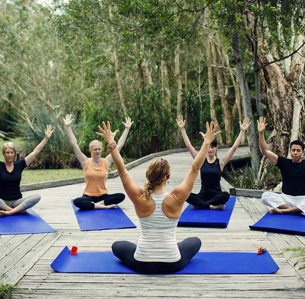 Formaci�n en yoga hol�stico