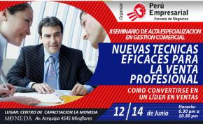 Tecnicas Venta Profesional