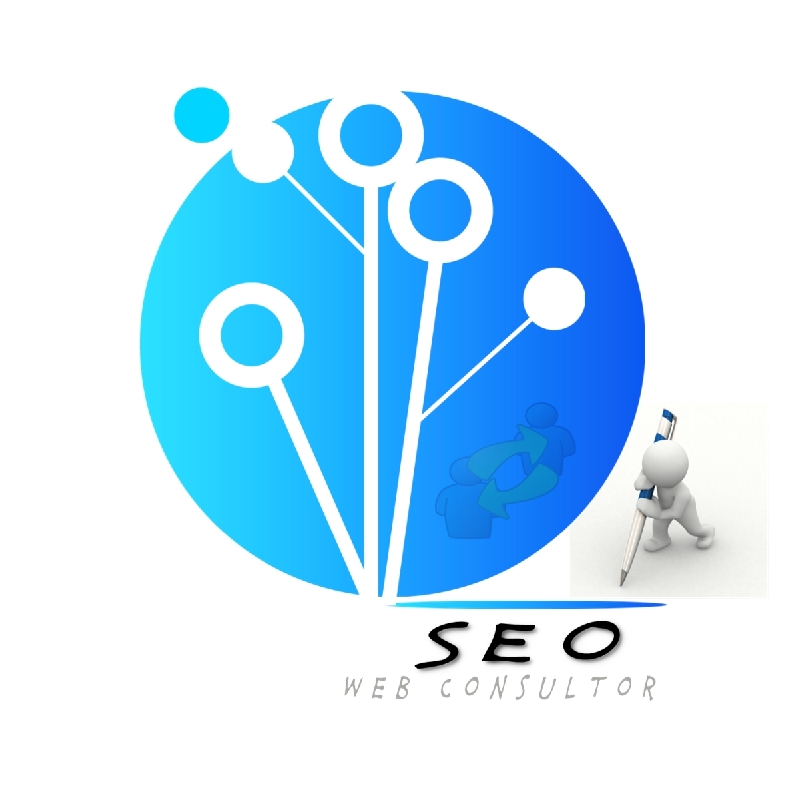 Seo Web Consultor