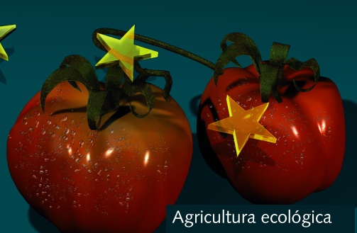 Portada Ficha Agricultura Ecológica