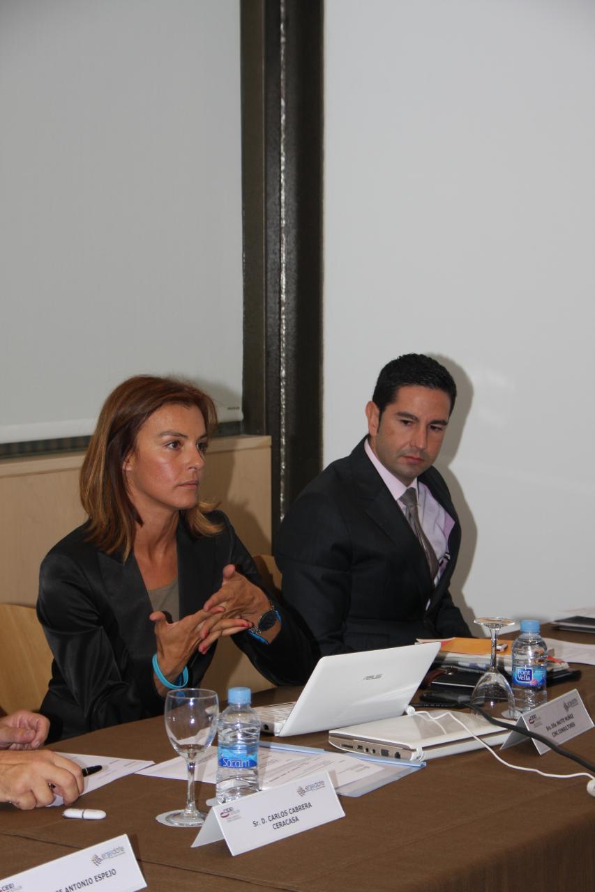Enr�date Castell�n 2012- Taller 4: "Renovaci�n de sectores tradicionales y maduros"