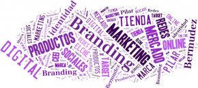 El Branding Digital: Estrategia de comunicacin para la empresa.