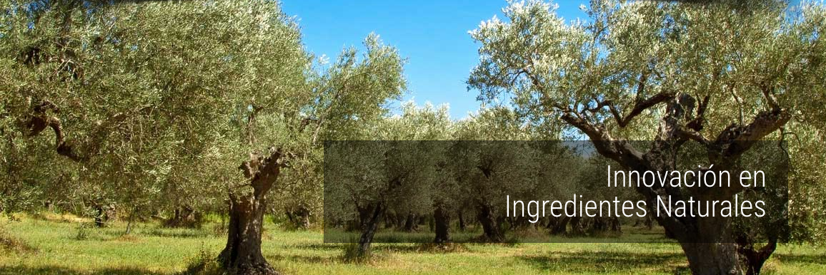 NUTEXA INGREDIENTS, S.L.