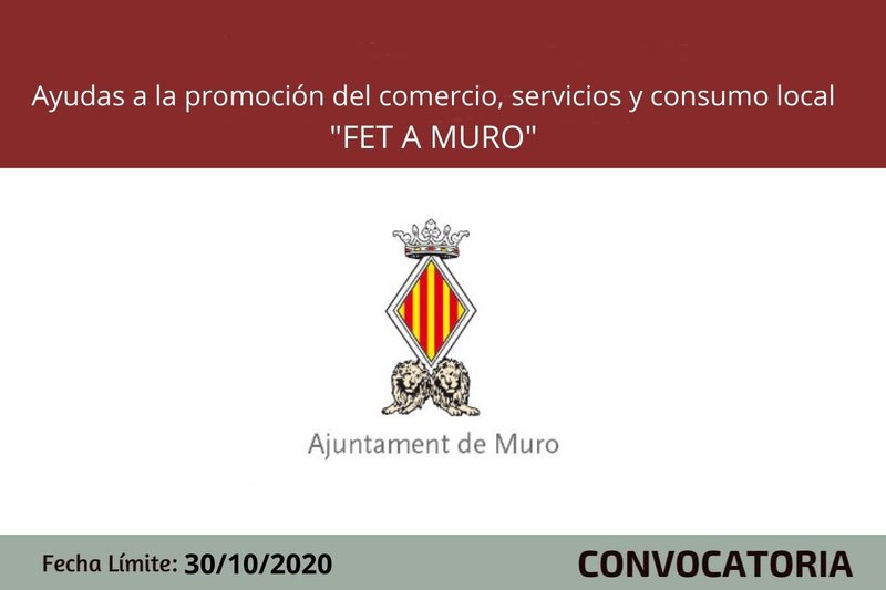 Ampliar imagen