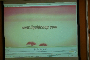Desayuno de innovaci�n CEEI Castell�n 10/03/2011, Liquid Cooperativa