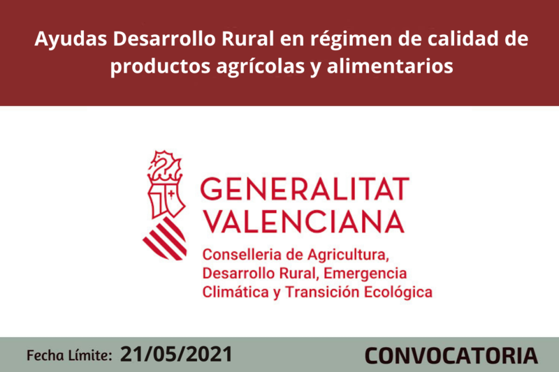 Ampliar imagen
