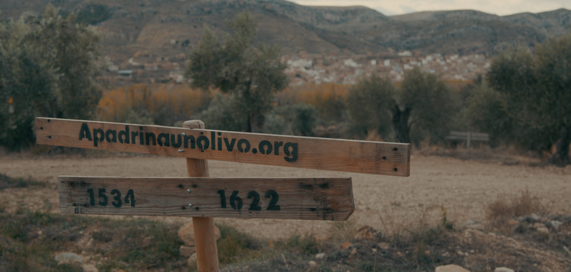 El renacer de los pueblos de Teruel, entre olivos rescatados y energías renovables